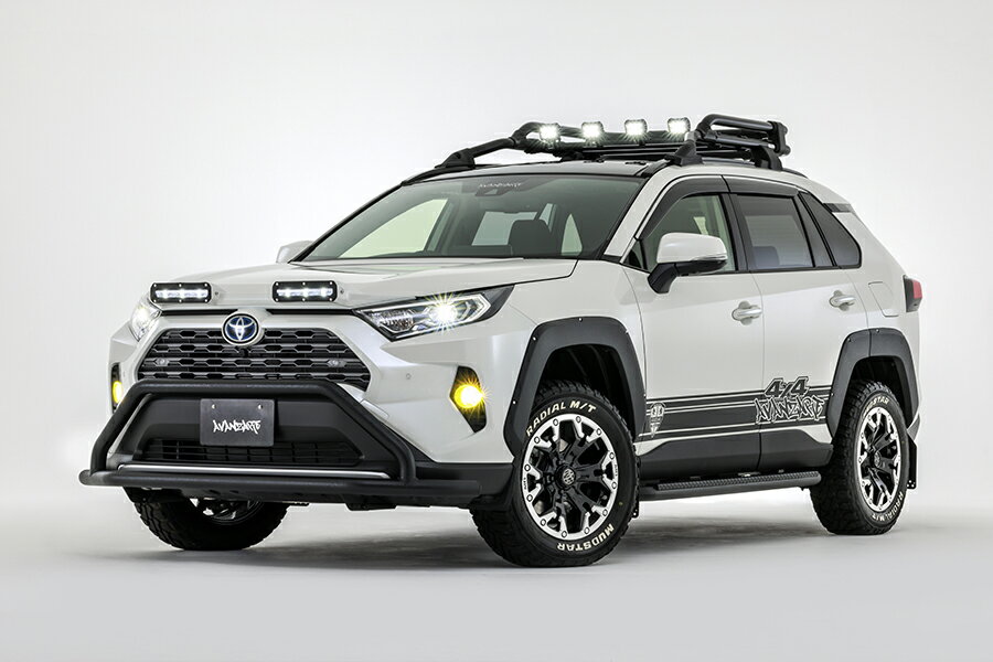 アヴァンツァーレ RAV4 MXAA54 AXAH54 オーバーフェンダーKIT 未塗装 AVANZARE