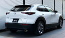 ubc CX-30 DM8P }t[ XeX 63191 BLITZ NUR-SPEC CUSTOM EDITION jXybN JX^GfBV W