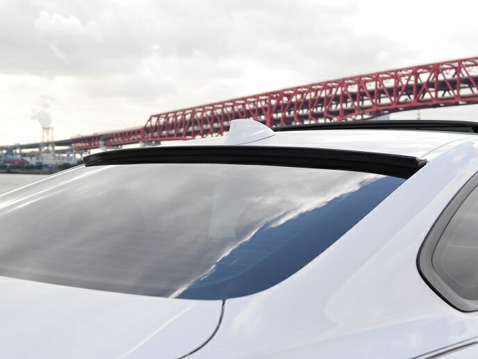 IG SPORTS BMW F32 4シリーズ M スポーツ ルーフスポイラー カーボン アイジー スポーツ 個人宅発送追金有