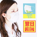 24時間タイムセール【送料無料】【翌日出荷】【在庫あり】【同梱不可】【クーポン対象外】【メール便のみ】◆不織布マスク1ケース50枚+1枚入り◆51枚 箱 大人用 子供用 男性用 女性用 花粉 マスク 大きめ 三層構造 高密度フィルター 使い捨てマスク