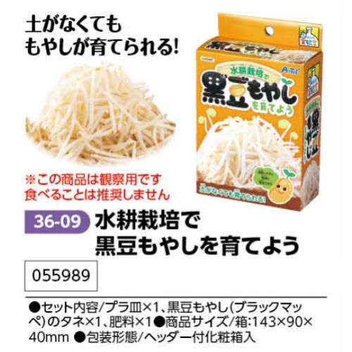 ＊この商品は観賞用です。食べることは推奨しません。