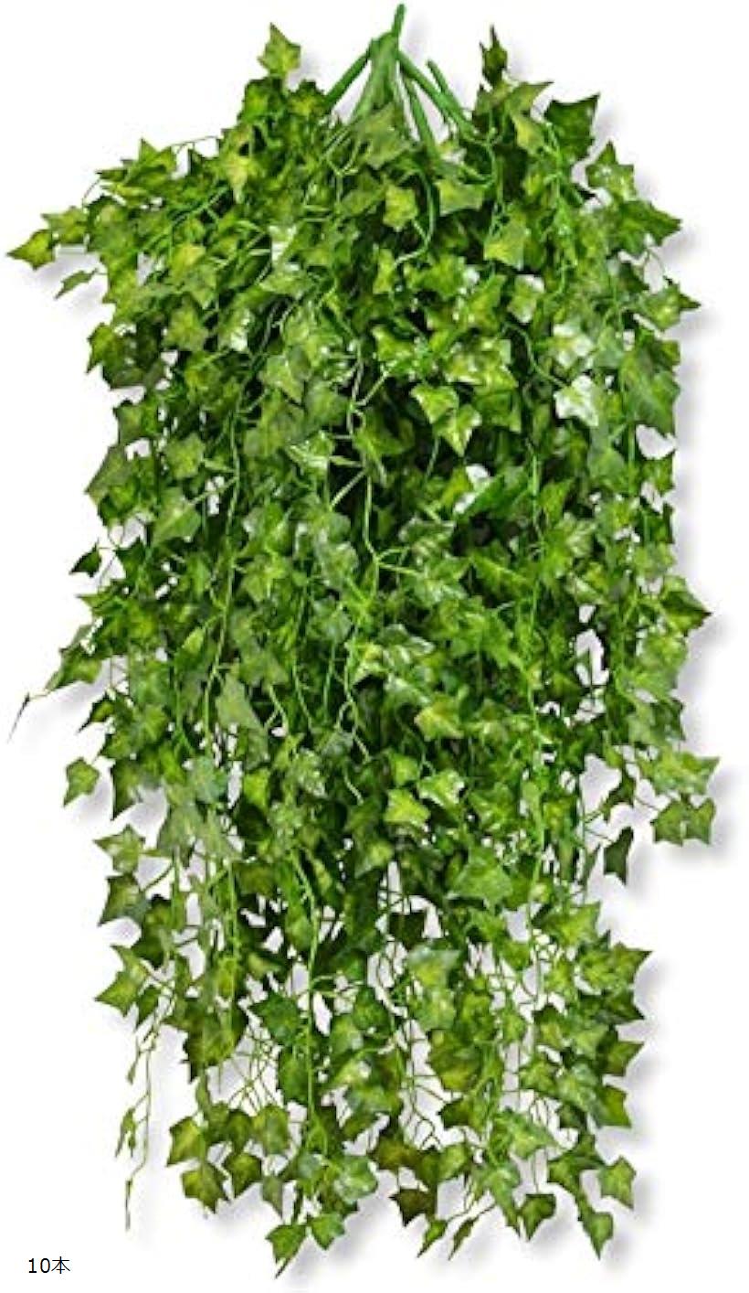 ۥå㤨ִտʪ ӡ 10 ɳݤ ƥꥢ ƥ  ¤ ͹ ե ꡼  ߤ (10ܡפβǤʤ4,780ߤˤʤޤ