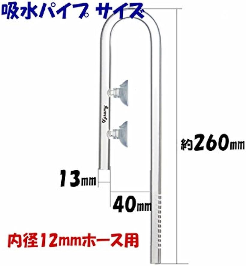 �ڳ�ŷ��󥭥�1�����ޡۿ��� �� �ۿ� ���ꥢ ���饹 �ѥ��� Ǯ�ӵ� �������ꥦ�� ���� 12 / 16 �ۡ����� ����å׼� ���� ���å� (05. �ۿ� + ����å׵��� 12/16)