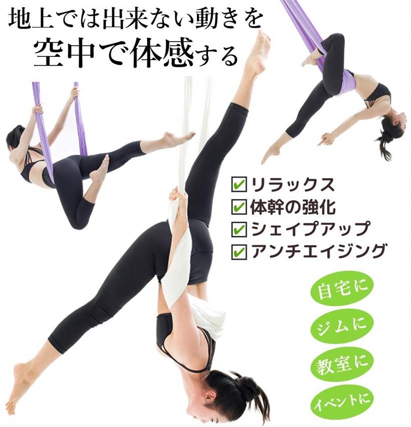 ギグアント エアリアルヨガ 5mx2.8m ハンモック 単体 空中ヨガ 反重力 エクササイズ エアロ(シャンパンゴールド)