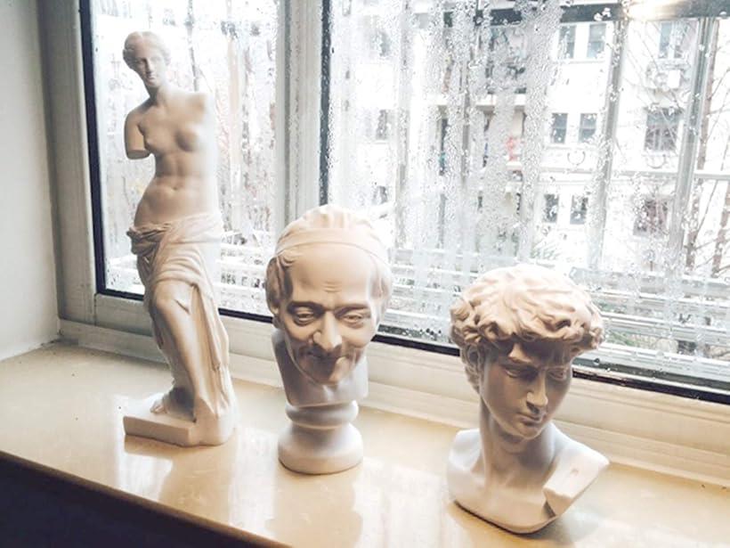 自宅が美術館 石膏像風 人物像 シリーズ 割れにくい カケにくい 硬質樹脂製 粉が出ない 胸像15cm ダビデ