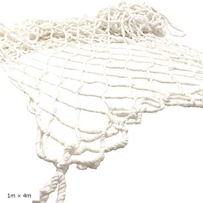 転落防止 子供 安全 ネット & 結束バンド 100本 高所 防犯 防獣 1m x 4m(1m x 4m)