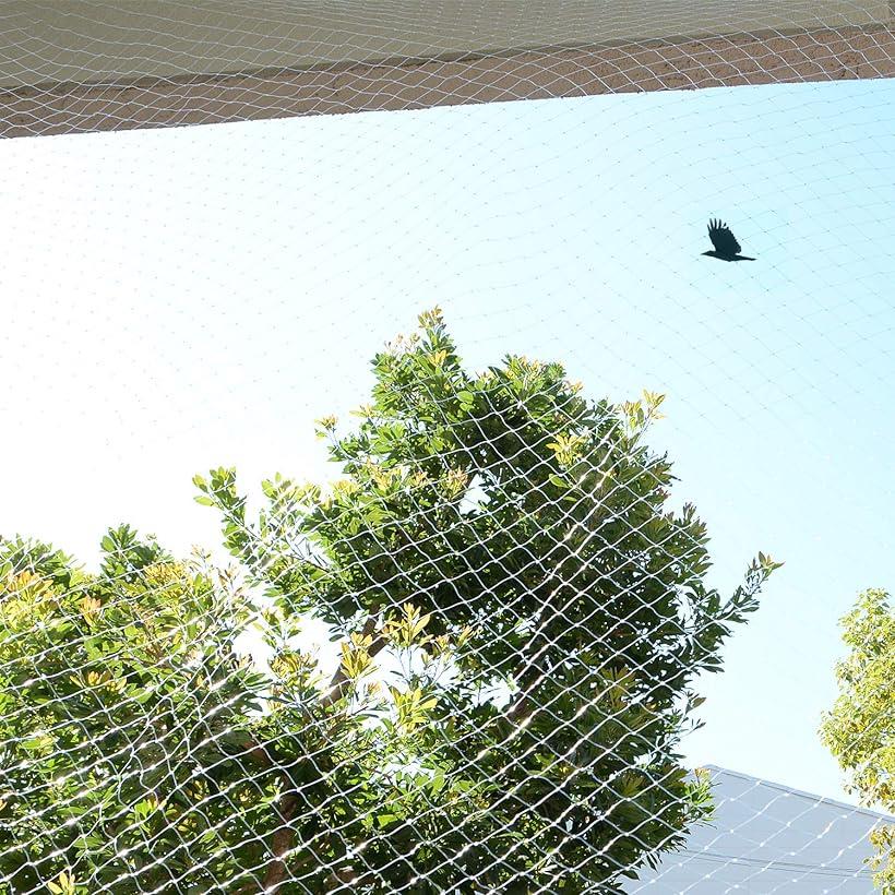 【楽天ランキング1位入賞】防鳥ネット 鳥よけネット 透明 ベランダ 鳩よけ カラスよけ 結束バンド15本..