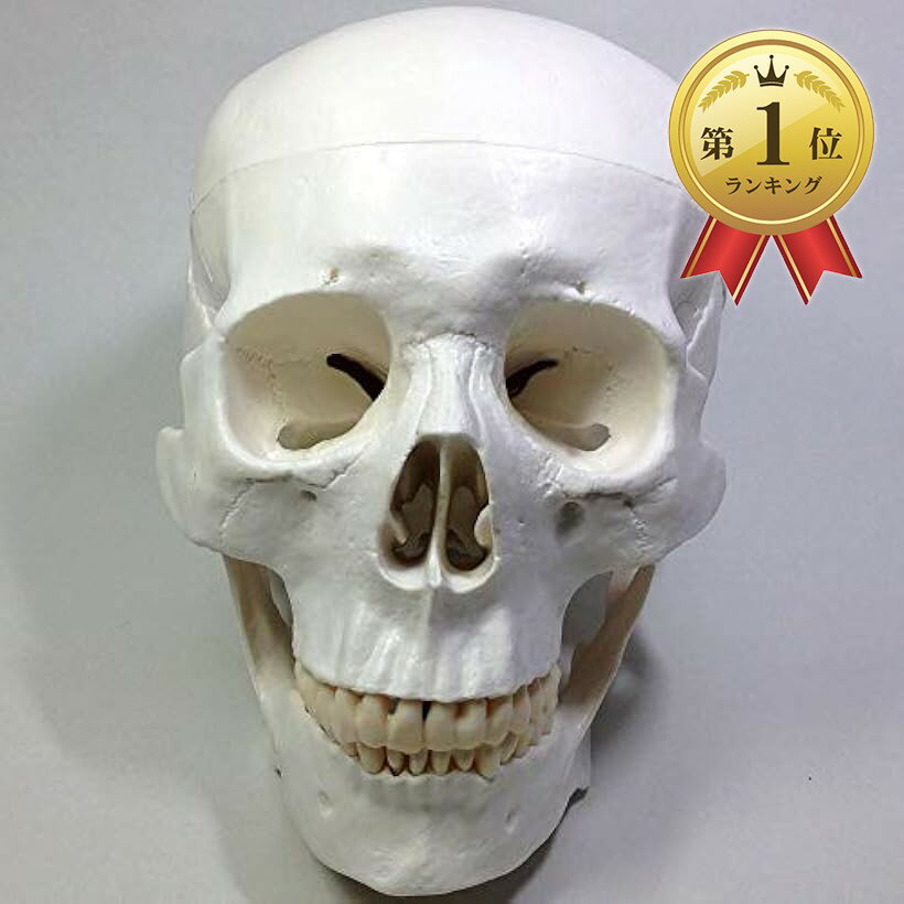 製品画像：4位