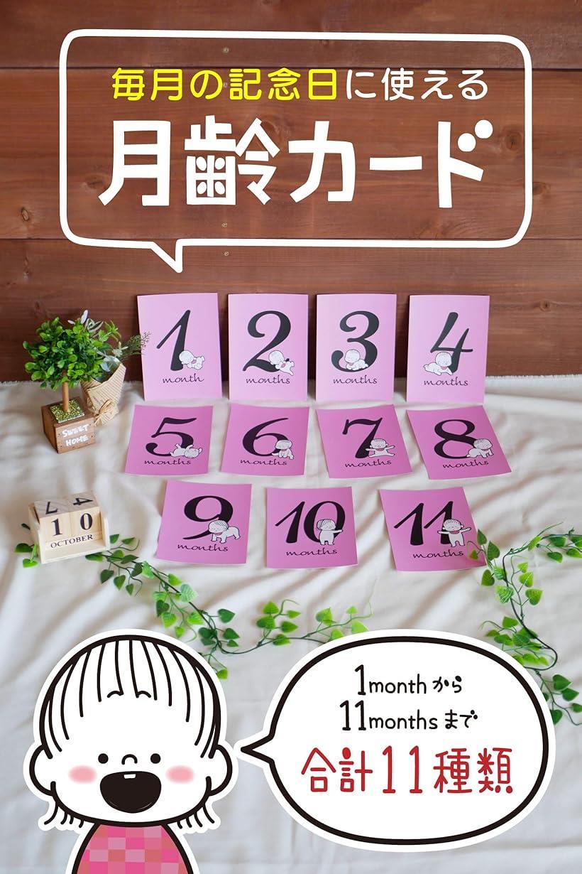 月齢フォト カード マンスリーカード 24面12枚 赤ちゃん 写真(Baby_Girl)