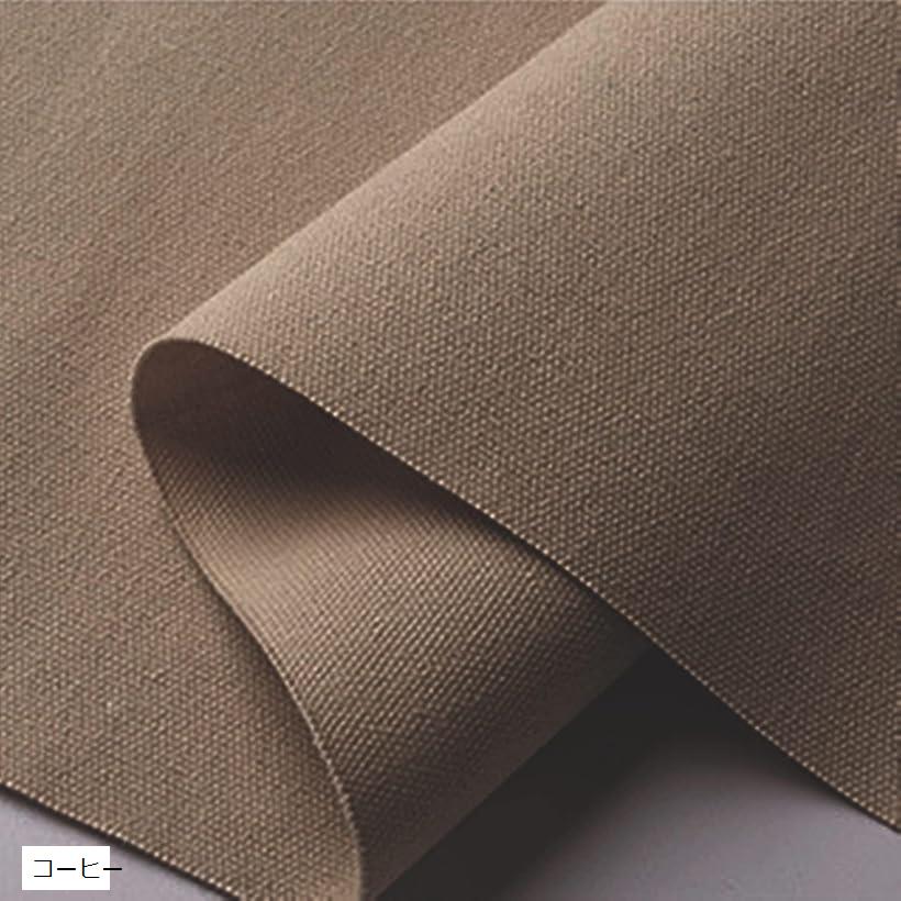 11号 カラー 帆布 生地 綿100％ コットン キャンバス 幅約145cmx長さ約2m (コーヒー)