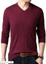 サンクシャ Vネック ニット セーター カットソー 長袖 無地 シンプル カジュアル 秋 冬 メンズ(ワインレッド, 3XL)(4)