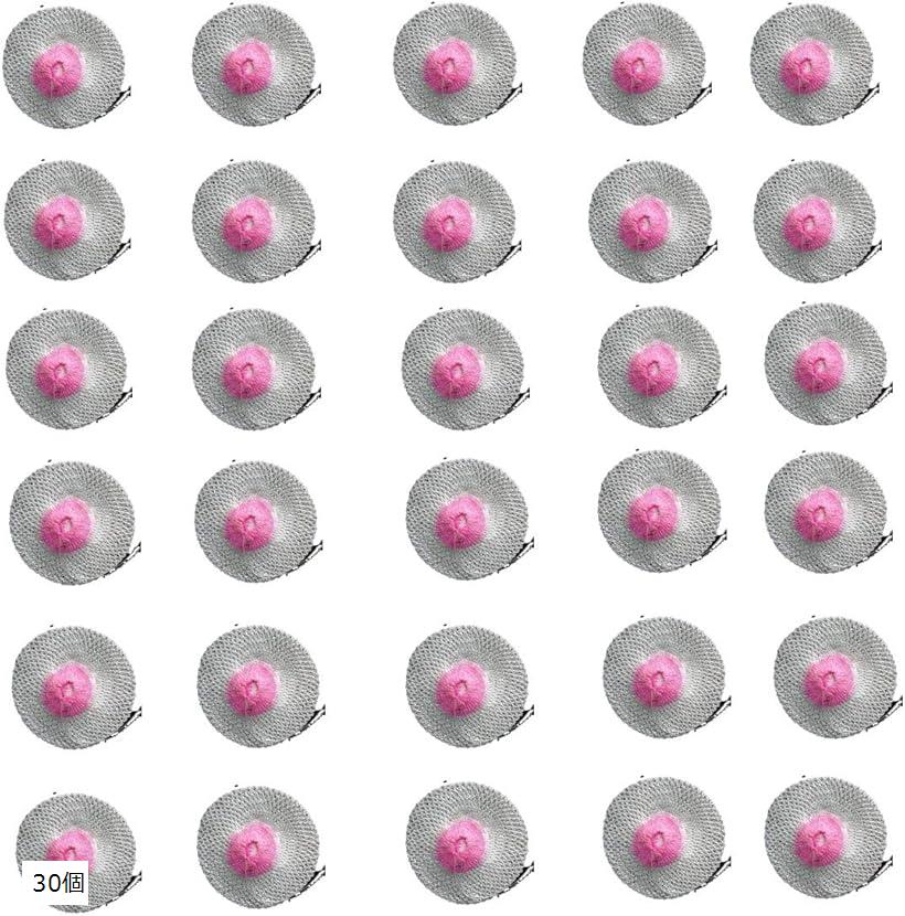 Lights - 互換品30個セット マントル ランタン 汎用 ガスランタン用 交換 キャンプ アウトドア (30個)