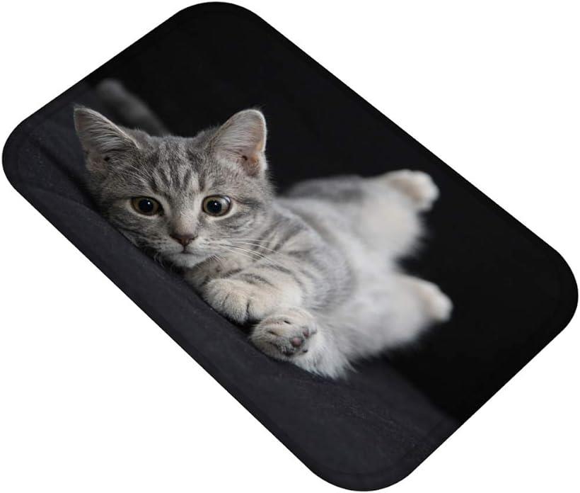 ねこタウン 猫ちゃんバスマット リアル 写真 癒し フランネル素材 フロアマット 足ふきマット 40cmx60cm タイプA( 40cmx60cm タイプA)