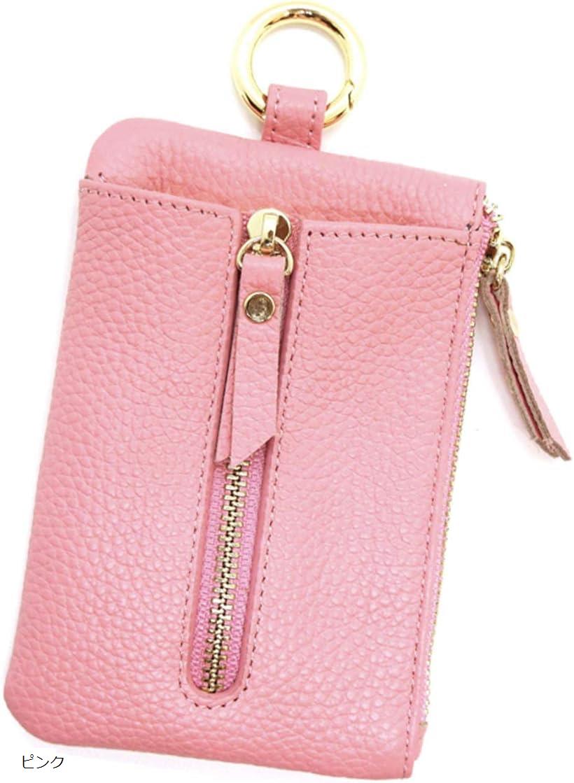 ���������� ��ǥ����� �������� �����󥱡��� �� ���������� (�ԥ�)