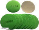ASPALAND 耐水 ペーパー サンドペーパー 丸型 サンダー用 紙 やすり 鏡面磨き 125mm セット 10枚 3000(10枚 3000, 125mm)
