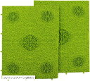 ツボエステ 足つぼマッサージ グッズ 足つぼマット お部屋でのるだけ刺激的な美容マット hb003 フレッシュグリーン/2枚セット (フレッシュグリーン/2枚セット)
