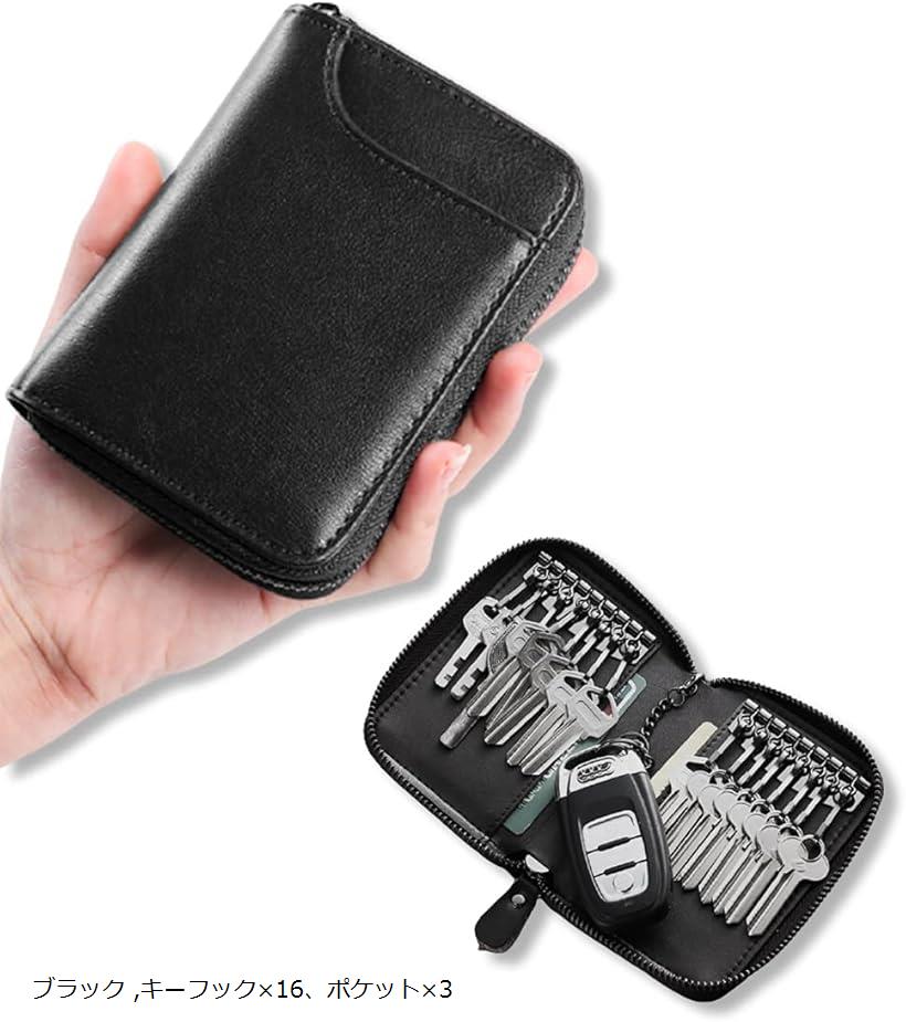 キーケース キーフック 車の鍵 スマートキー バイク カード 両面 16連 たくさん入る 使いやすい ブラック (ブラック, キーフックx16、ポケットx3)