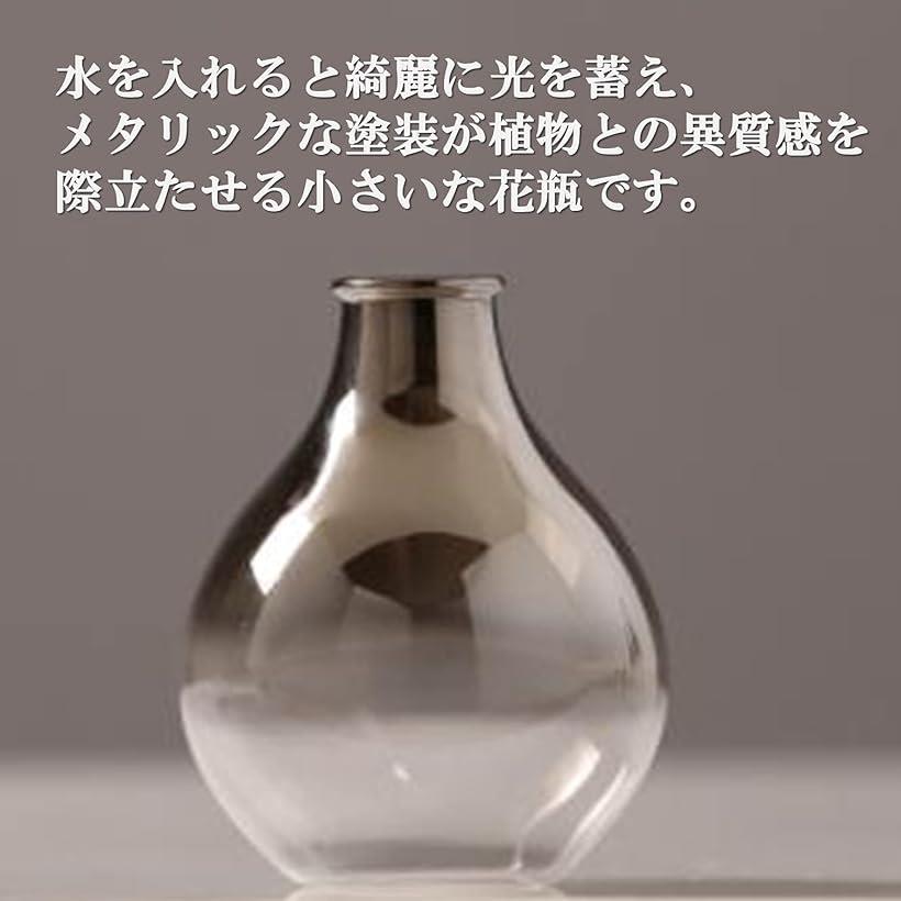 ガラス花瓶 一輪挿し 透明 小さい花器 フラワーベース 北欧 おしゃれ インテリア かわいい シンプル プレゼント(直径8x高さ10cm, 直径8x高10cm) [2]