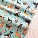 犬 猫 柄 綿 ポリ 生地 手芸用 全13種 長さ約2m 幅約160cm(オシャレ犬ブルー)