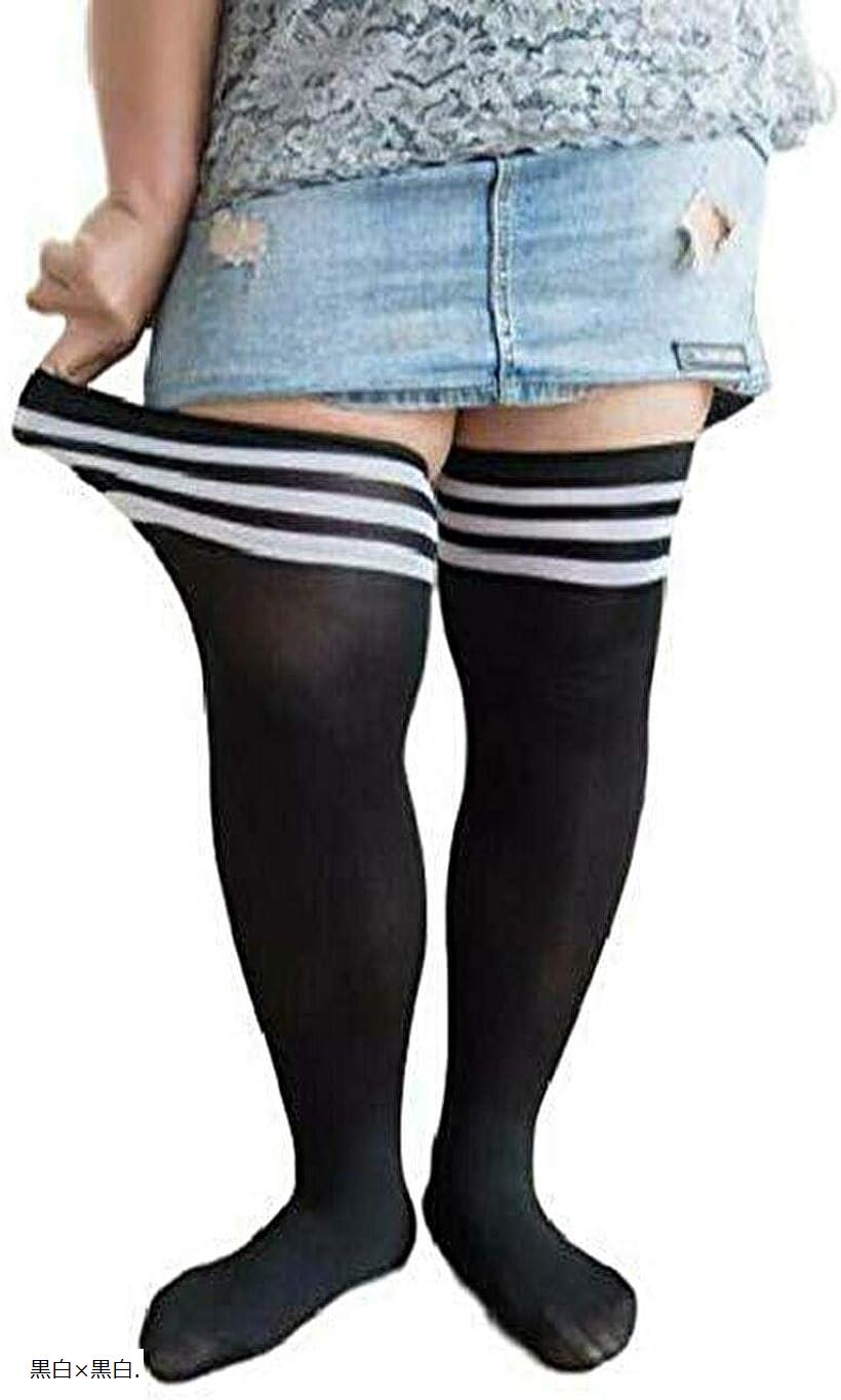 ݥ  礭 ˡϥå  2­å ϥ  륽å ȥå  ĥ ...
