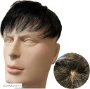 ウィッグ メンズ かつら カツラ 男性 部分ウィッグ つむじ 頭頂部 ショート 必需品5点セット(ナチュラルブラック)