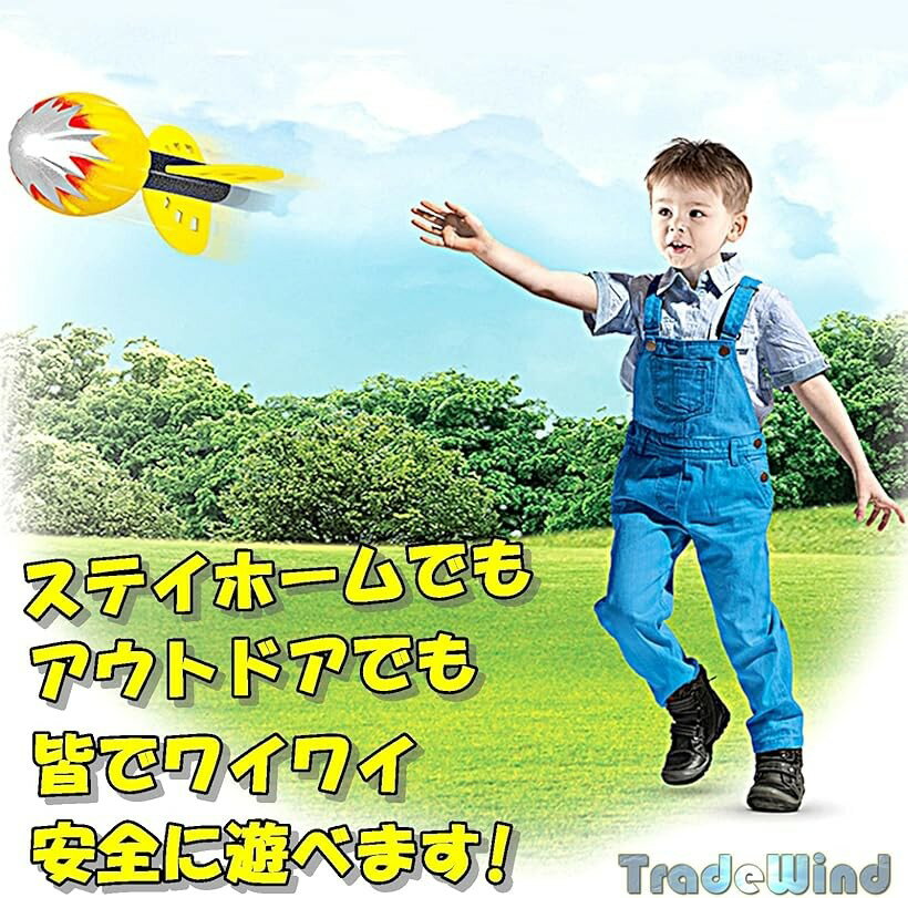 ����٥ܡ��� ����٥�å��ܡ��� ����ꤲ ��Ƥ� ���ե����� ��� ���եȥܡ��� ��������1�ĥ��å� (��������1��, 24cm)