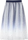 ロング丈 チュールスカート シースルー 透け感 ハイウエスト レディース フリーサイズ(C, Free Size)