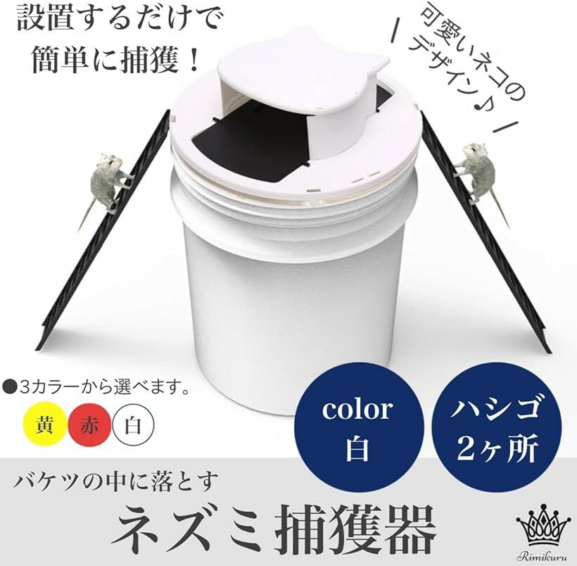 �ڳ�ŷ��󥭥�1�����ޡۥͥ������ �ͥ�����ʹ� ��� �ۥ磻�� (�ۥ磻��)