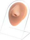 2点 シリコン模型 顔の器官 人工 シリコンモデル 縫合練習用 絵画 美術 アクセサリー 収納スタンド付き( 鼻)