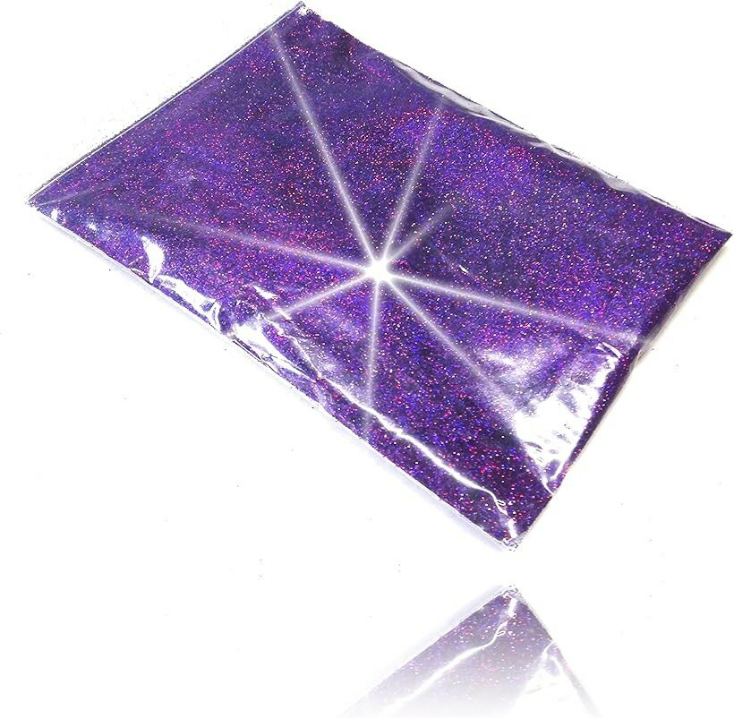 ラメ パウダー レインボー フレーク ホログラム グリッター カスタムペイント ジェル ネイル 等に使い易い 0.2mm パープル (レインボー パープル)