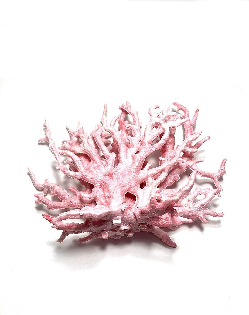 人工 珊瑚 サンゴ アクアリウム オブジェ 水槽 オーナメント 飾り 熱帯魚( ピンク)