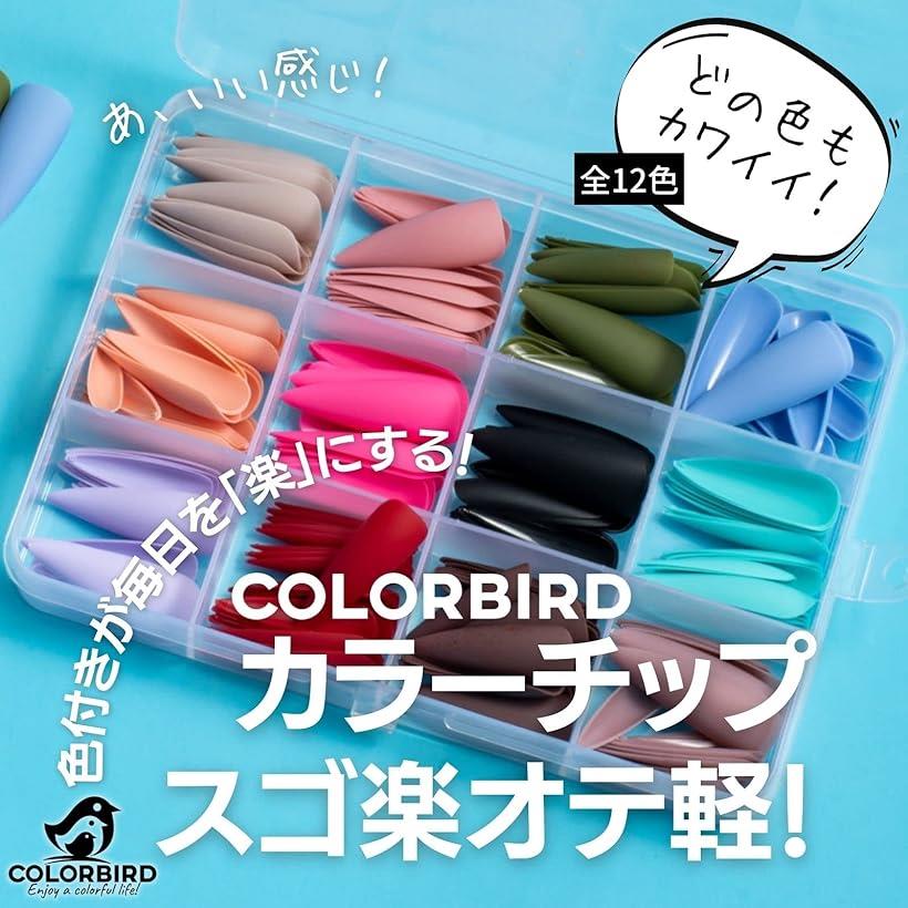 ネイルチップ ショート ケース付 シンプル おしゃれ(ポイントLマット)