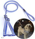 ハーネス リード 首輪 2点セット ペット用品 犬散歩 お出かけ用(青, M)