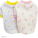 ペットウェア ドッグウェア 2枚セット 犬の服(L)