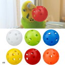 【楽天ランキング1位入賞】鳥 ボール 鳥のおもちゃボール オウム 噛むおもちゃ インコ(6個)