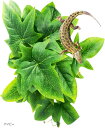 人工植物 爬虫類ケージ用 ビバリウム 水槽 葉 両生類 カメ カエル 吸盤付き ペット用品(アイビー)