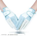 ゴルフグローブ レディース 両手 女性用 ゴルフ手袋(アクアブルー, 19 (16.5cm-17.0cm))
