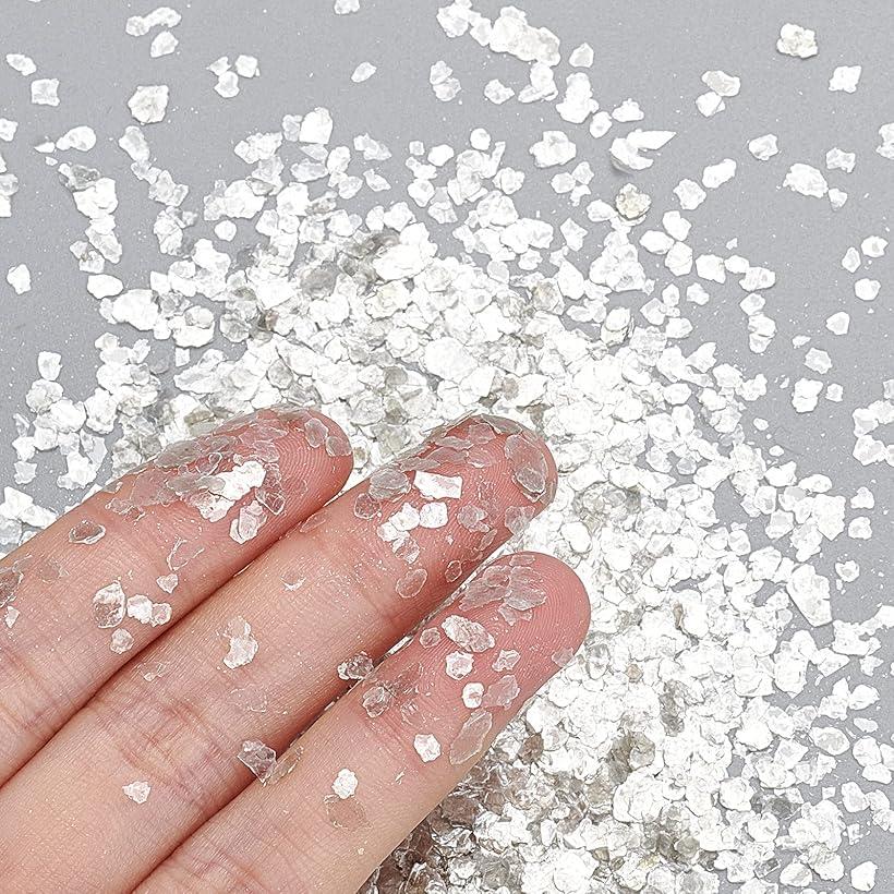 300g �ͥ��������ѥå� ������ҥ쥸������ �ͥ������ �����Ǻ� (��)