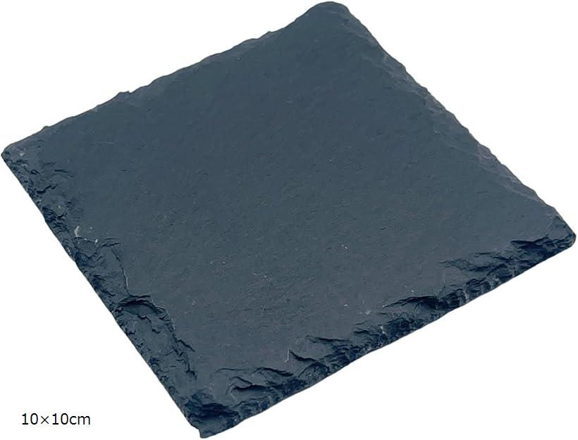 爬虫類 亀 カメ 乾燥 床材 プレート 餌置き フードプレート 爪磨き 保温 保湿 (ブラック, 10x10cm)