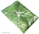 ラメ パウダー レインボー フレーク ホログラム グリッター カスタムペイント ジェル ネイル 等に使い易い 0.2mm(レインボーライム)