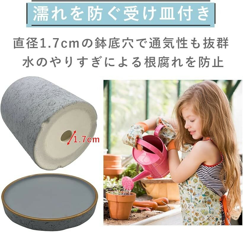 ����ȭ ƫ��ȭ ȭ���� �ץ�󥿡� �ץ��ȥݥå� 4��ȭ ���տ�ʪ ¿����ʪ ������ 11cm (�ͥ��ӡ�)