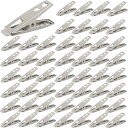 【楽天ランキング1位入賞】洗濯ばさみ ステンレス 小型 クリップ ピンチ ミニ 小さ目 多用途 50個セット