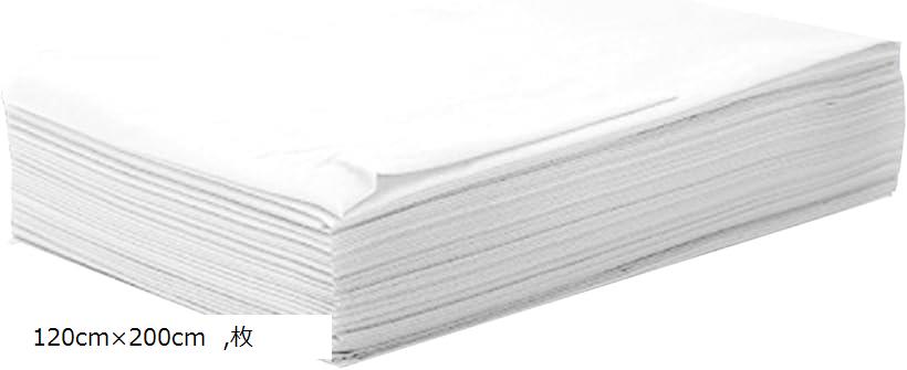 防水シーツ 防水シート 不織布 使い捨て マッサージ ペーパーシーツ 介護用品 エステサロン用 業務用 (..