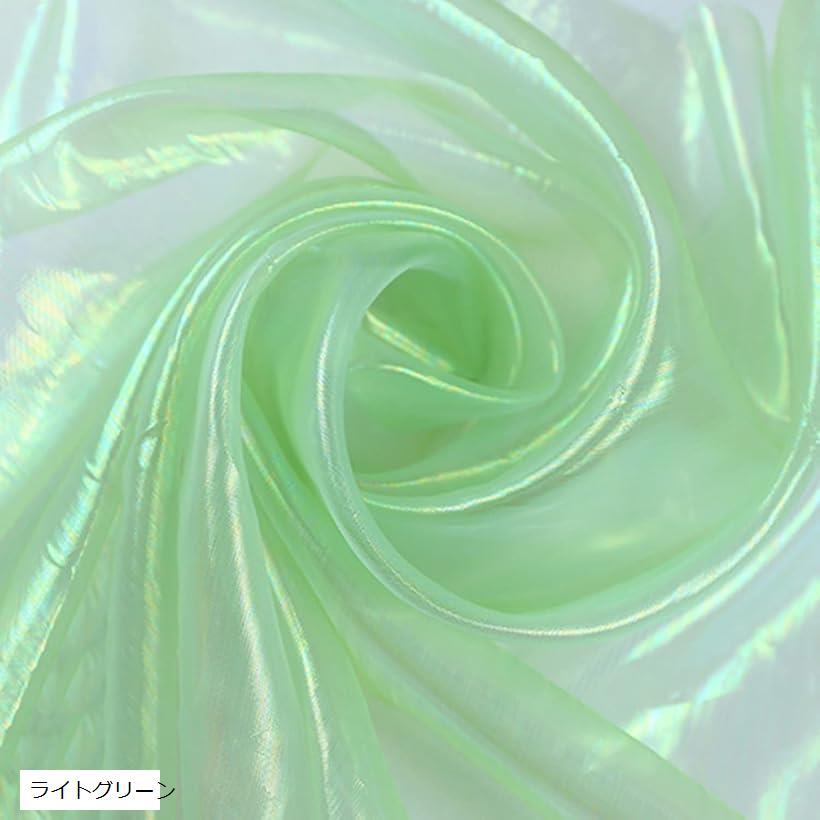 オーロラ オーガンジー 生地 3mx150cm 手芸 カラー 透明 無地 布 ライトグリーン (ライトグリーン)