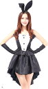 バニーガール メイド セクシー ハロウィーン レディース コスプレ 衣装(ブラック, XL)