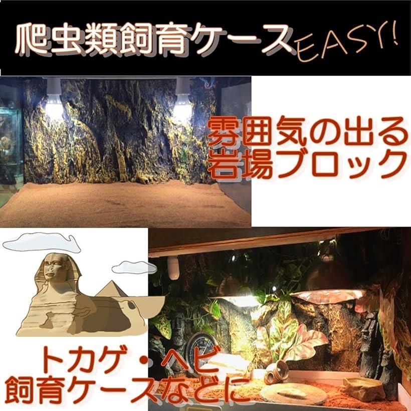 ジオラマ 岩場 ジオラマベース 地面 模型 ジオラマ用 石 石壁 撮影 小道具 ジオラマ用素材 茶62岩/4セット