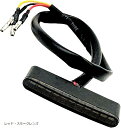 【楽天ランキング1位入賞】オートバイ用 LED テールランプ ブレーキランプ バックランプ バイク用 12V DC スモークレンズ 11連(レッド・スモークレンズ)