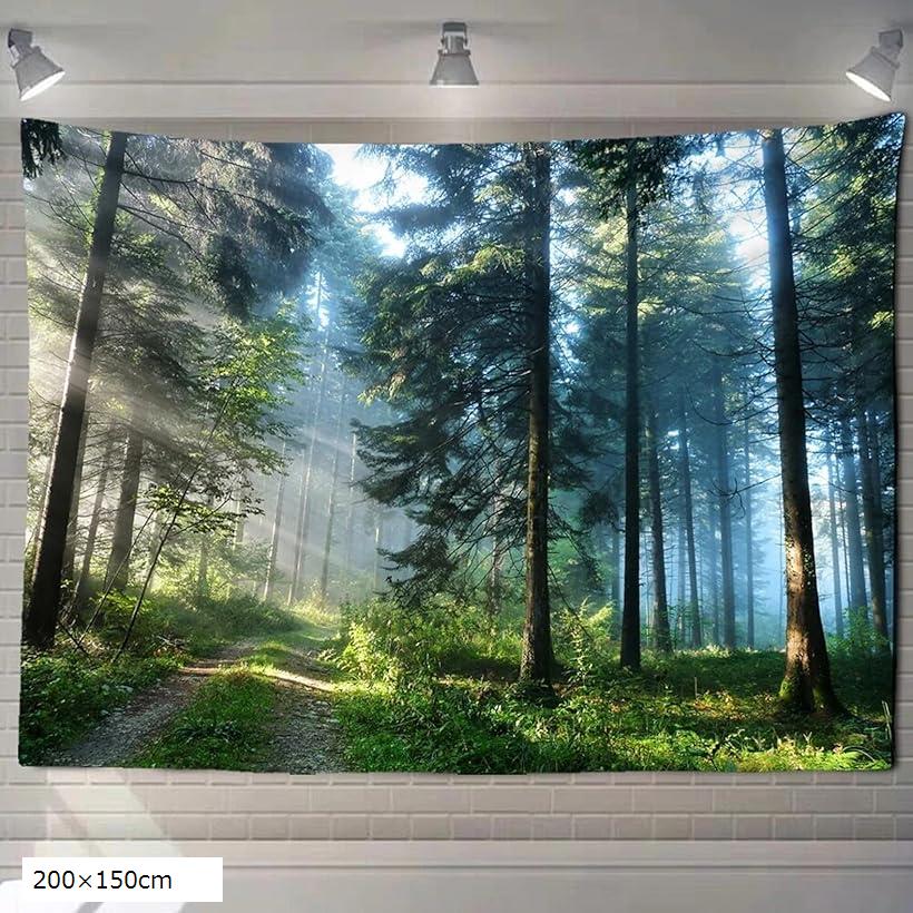 タペストリー 森 木 自然風景 大判 壁掛け 風景画 森の光 アート 200x150cm (200x150cm)