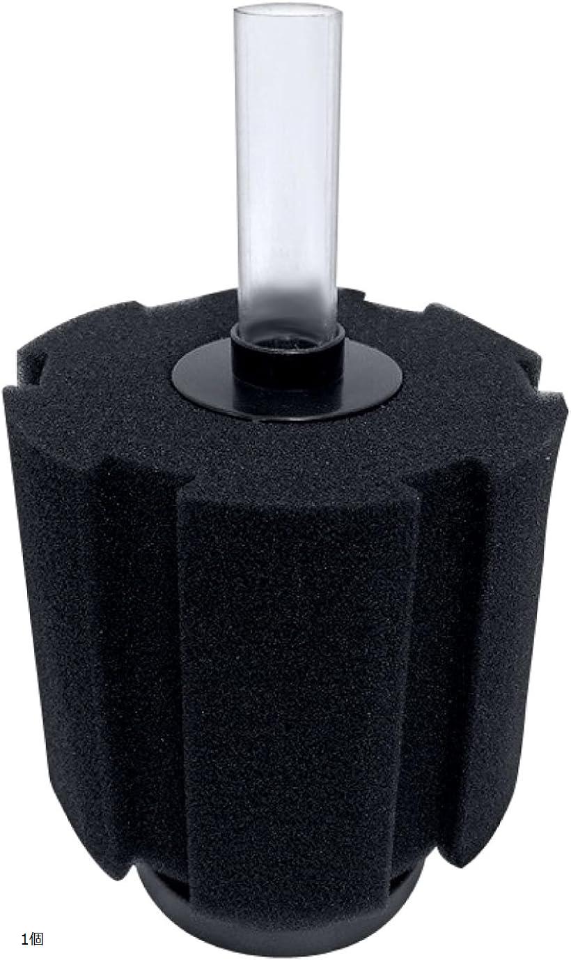 水槽 排水フィルター スポンジ入れ 金魚 投げ込み式フィルター スポンジフィルター チューブ シュリンプ 濾過フィルター フィルター用スポンジ 1個 (1個)