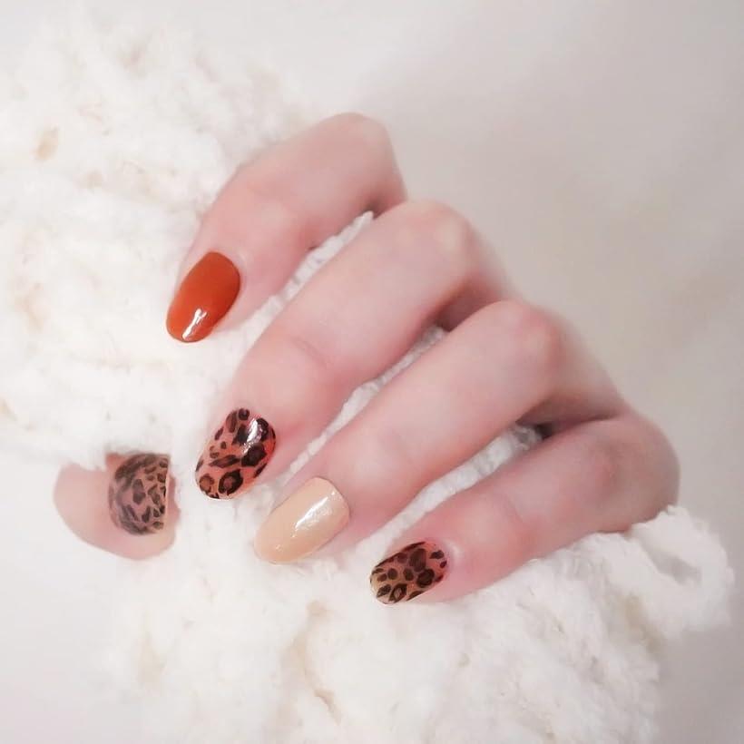 ジェルネイルシール UVライト 硬化タイプ 簡単オフ 貼るだけ ネイルシールキット NG200033